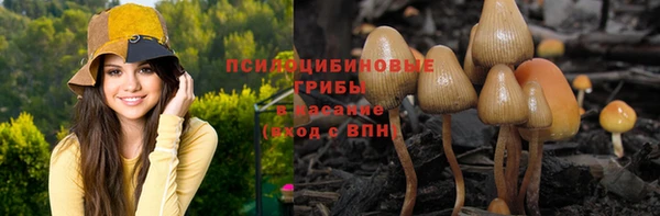 трава Балахна