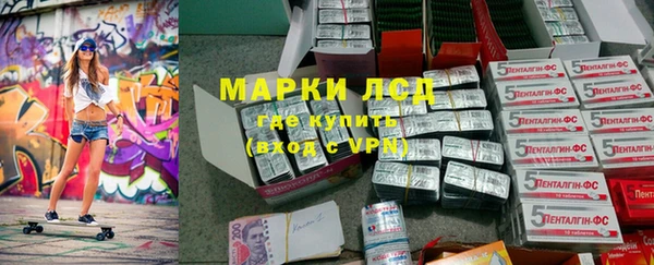 хмурый Белокуриха