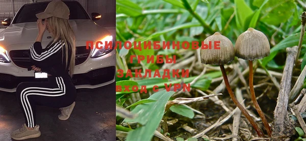 мдпв Балабаново