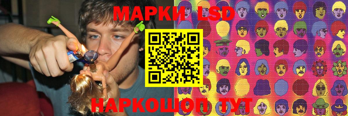 Галлюциногенные грибы Ессентуки