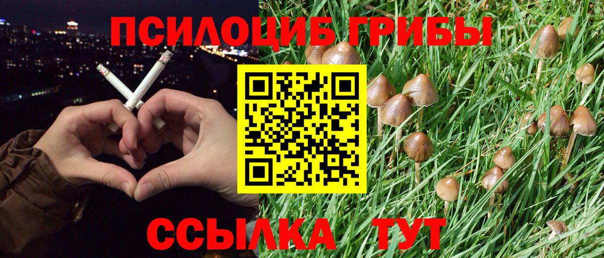 Ессентуки  Псилоцибиновые грибы GOLDEN TEACHER  Псилоцибиновые грибы Magic Shrooms  Вход с VPN 